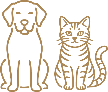 Pet Friendly